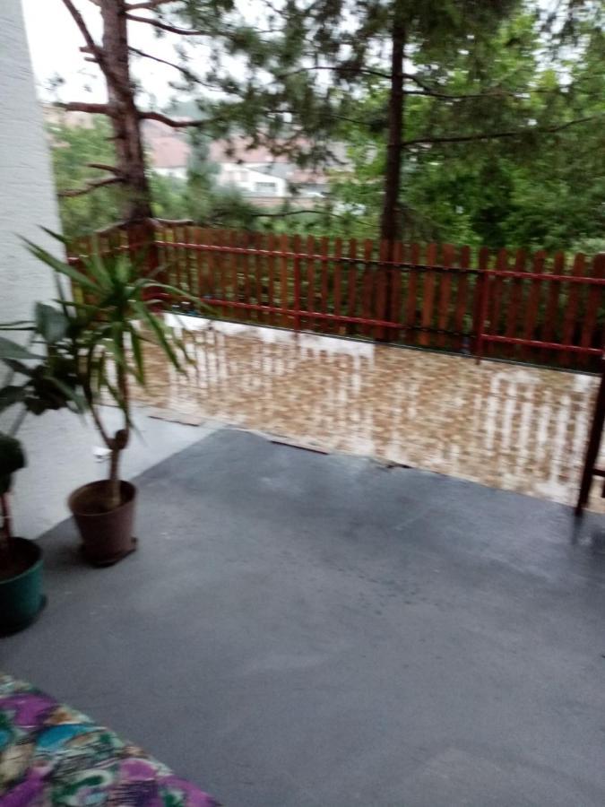 Family Apartman Ana - Star Golubac Luaran gambar