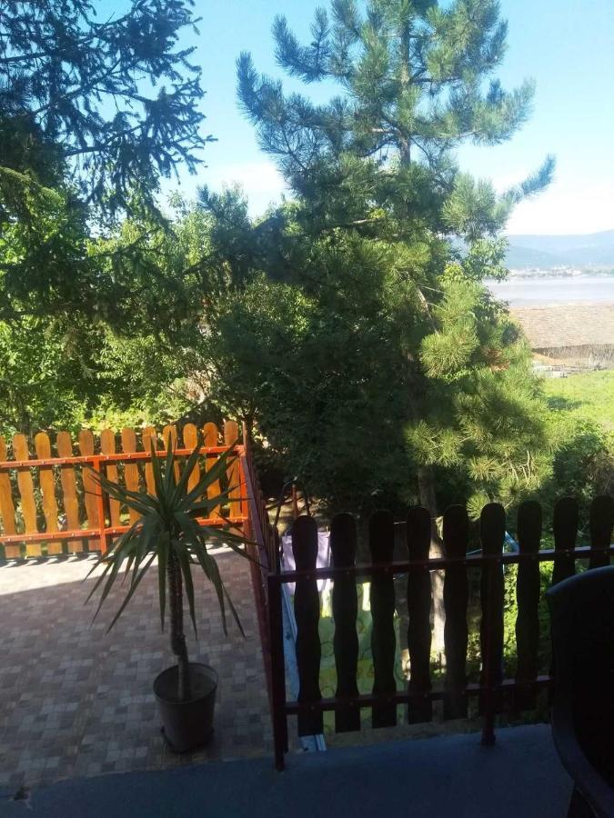 Family Apartman Ana - Star Golubac Luaran gambar