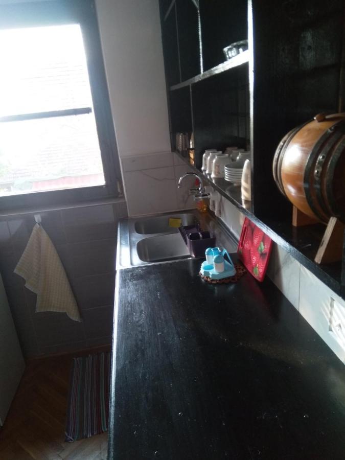 Family Apartman Ana - Star Golubac Luaran gambar