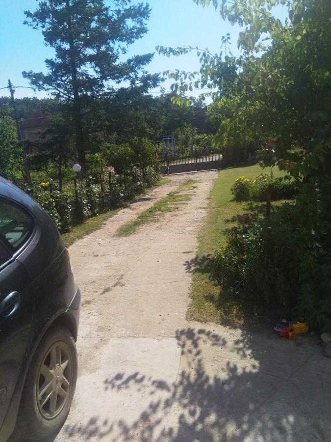 Family Apartman Ana - Star Golubac Luaran gambar