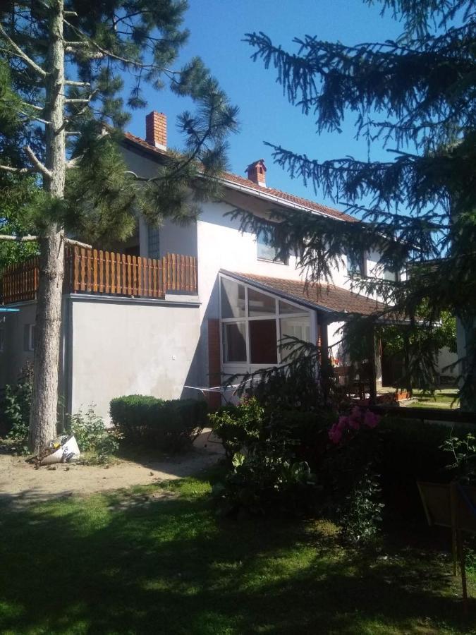 Family Apartman Ana - Star Golubac Luaran gambar