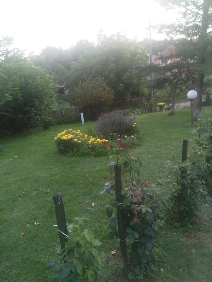 Family Apartman Ana - Star Golubac Luaran gambar