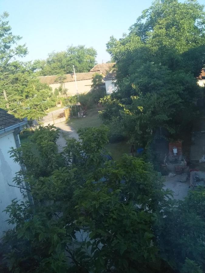 Family Apartman Ana - Star Golubac Luaran gambar