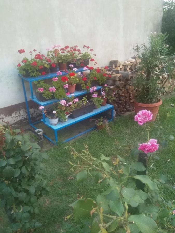Family Apartman Ana - Star Golubac Luaran gambar